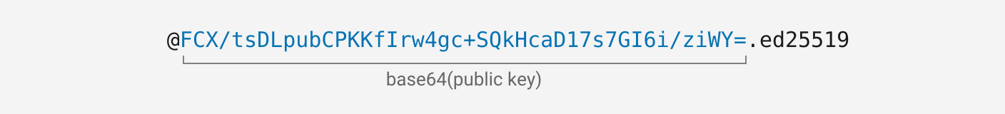 @FCX/tsDLpubCPKKfIrw4gc+SQkHcaD17s7GI6i/ziWY=.ed25519 where everything but the @ prefix and .ed25519 suffix is the public-key, base64-encoded.
